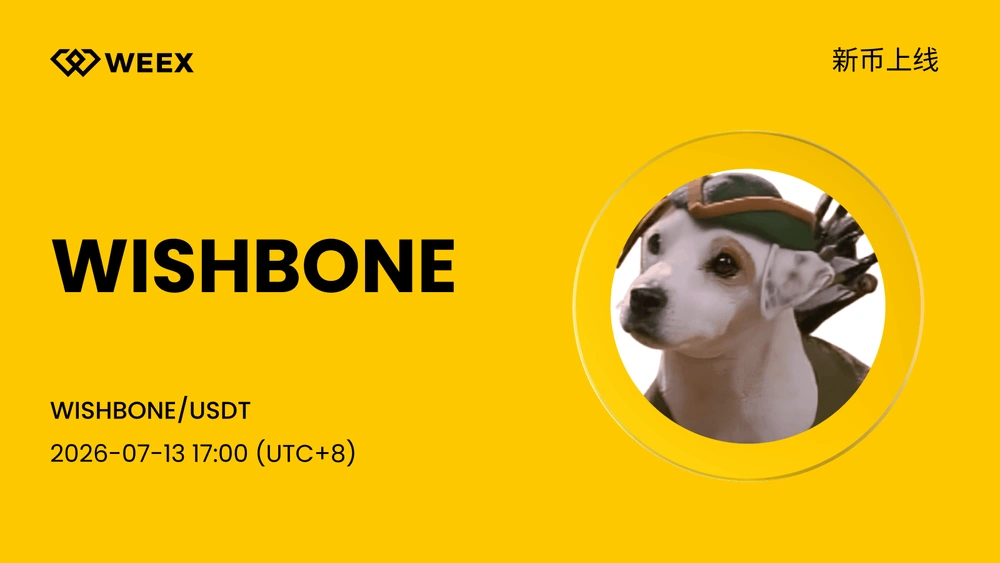 WISHBONE (WISHBONE) 现已上线 WEEX！